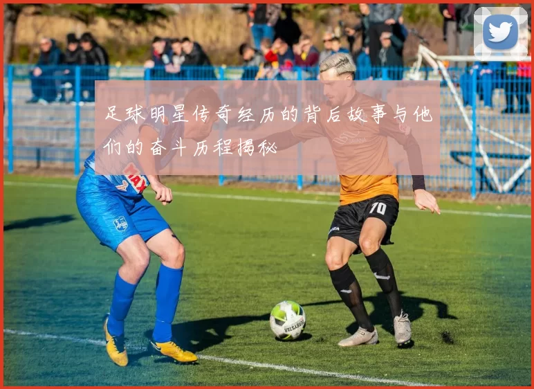 足球明星传奇经历的背后故事与他们的奋斗历程揭秘