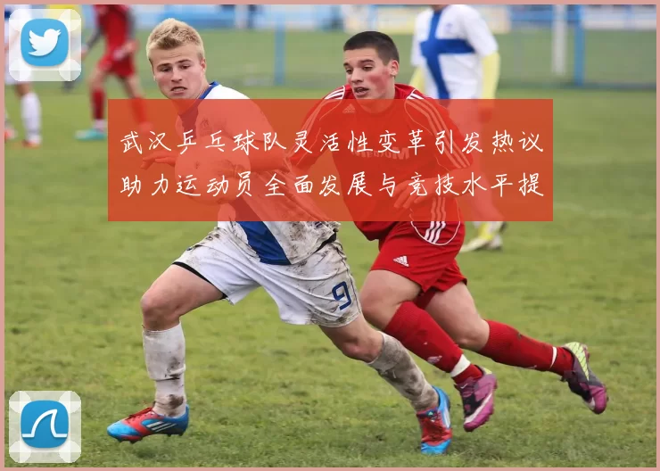 武汉乒乓球队灵活性变革引发热议助力运动员全面发展与竞技水平提升