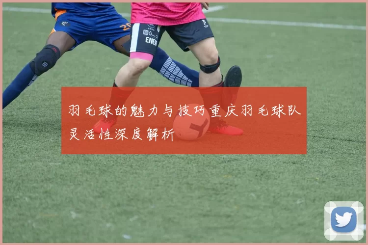 羽毛球的魅力与技巧重庆羽毛球队灵活性深度解析