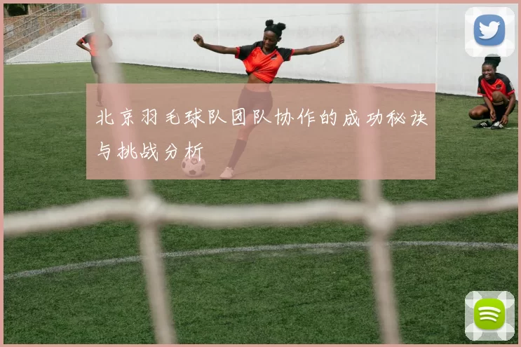 北京羽毛球队团队协作的成功秘诀与挑战分析