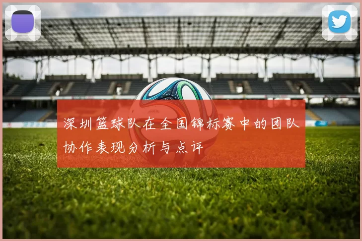 深圳篮球队在全国锦标赛中的团队协作表现分析与点评
