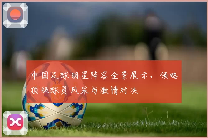 中国足球明星阵容全景展示，领略顶级球员风采与激情对决