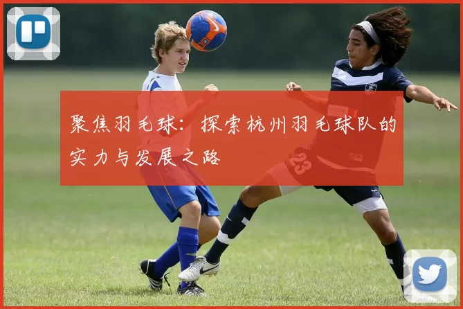 聚焦羽毛球：探索杭州羽毛球队的实力与发展之路